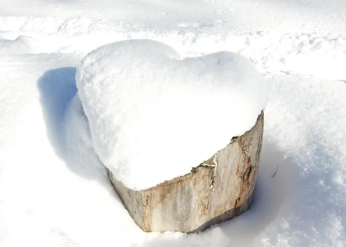 Fingerhut Vakantiehuis