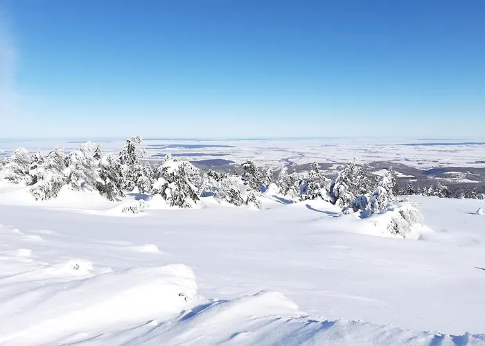 Fingerhut * Braunlage